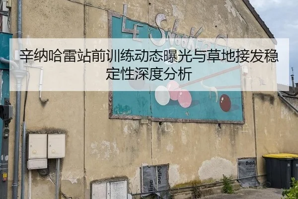 辛纳哈雷站前训练动态曝光与草地接发稳定性深度分析